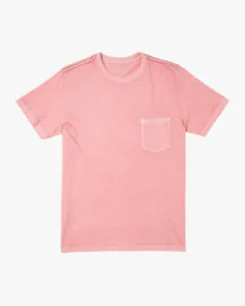 RVCA PTC II Pigment Short Sleeve T-Shirt - Dusty Rose